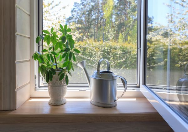 Cost of Garden Window Repair in Charleston